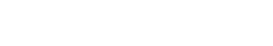 Logo Footer